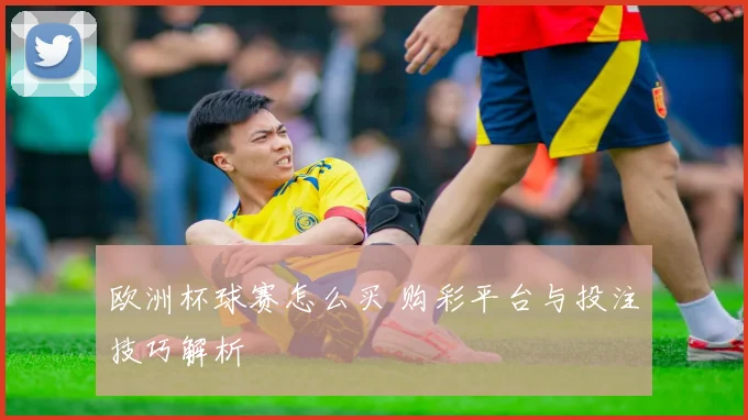 欧洲杯球赛怎么买 购彩平台与投注技巧解析
