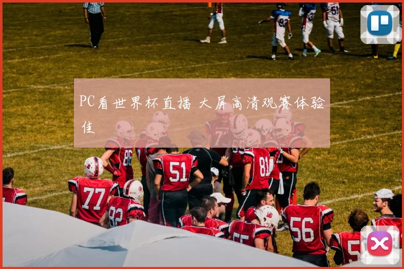 PC看世界杯直播 大屏高清观赛体验佳