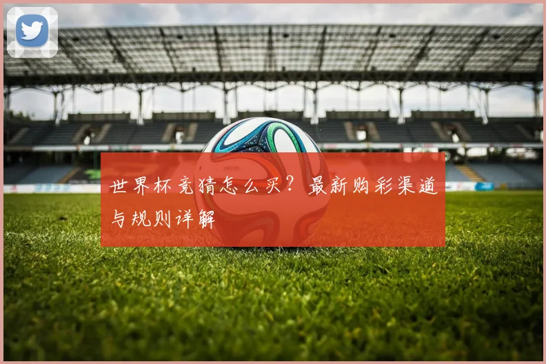 世界杯竞猜怎么买？最新购彩渠道与规则详解